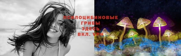 герыч Протвино