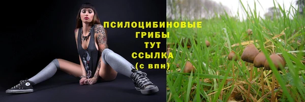 винт Абинск