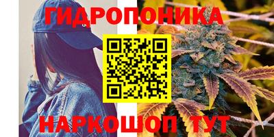 дурь Нальчик