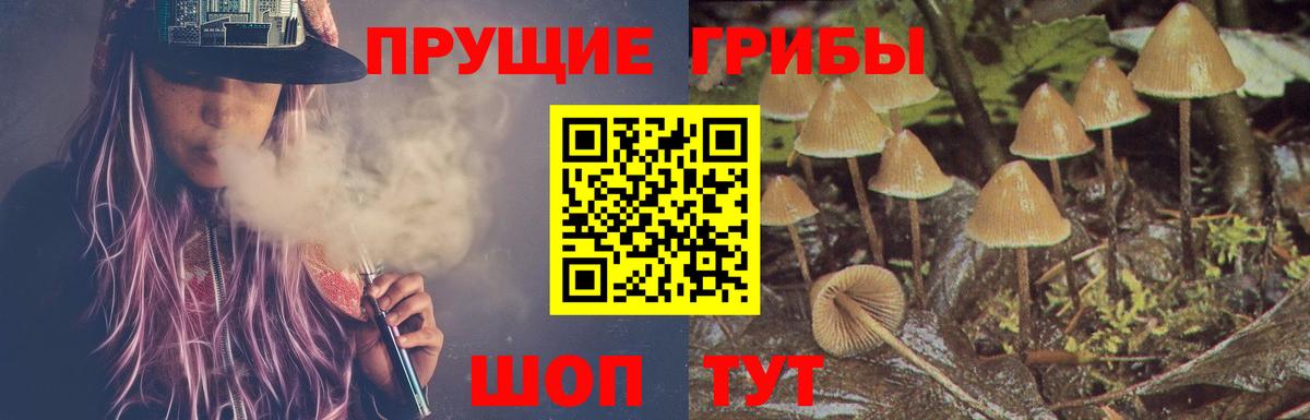 Моршанск  Псилоцибиновые грибы мухоморы  Галлюциногенные грибы Psilocybe  Вход с VPN 