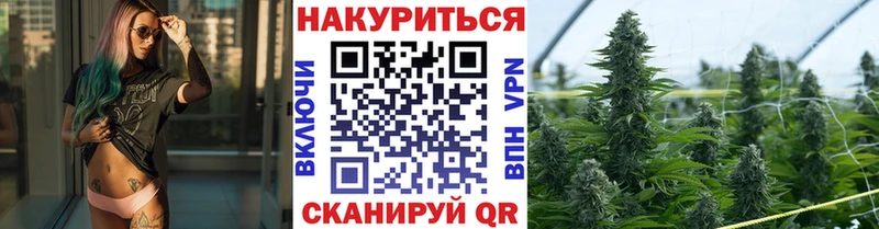 Конопля OG Kush Моршанск